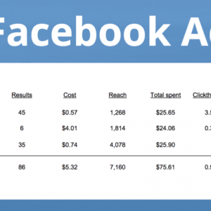 Paid Media Starter PPC – Facebook Ads Social Media Marketing